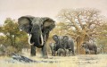 elephant herd and baobab trees